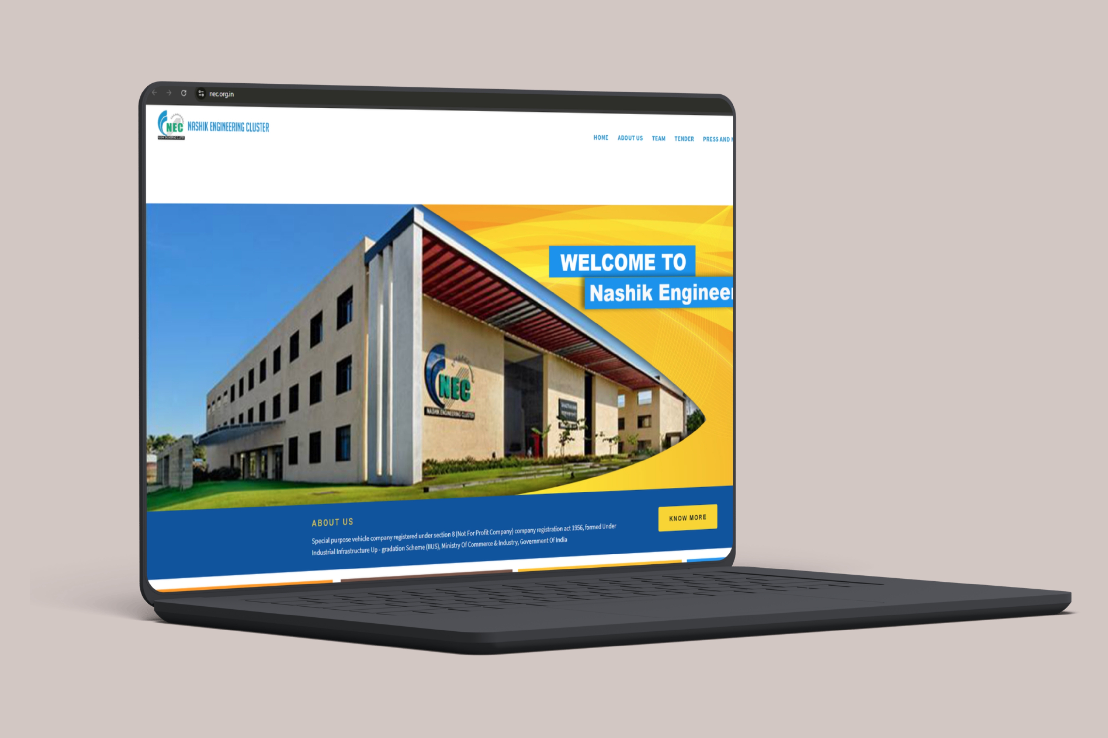 Educational Website Design and Development 